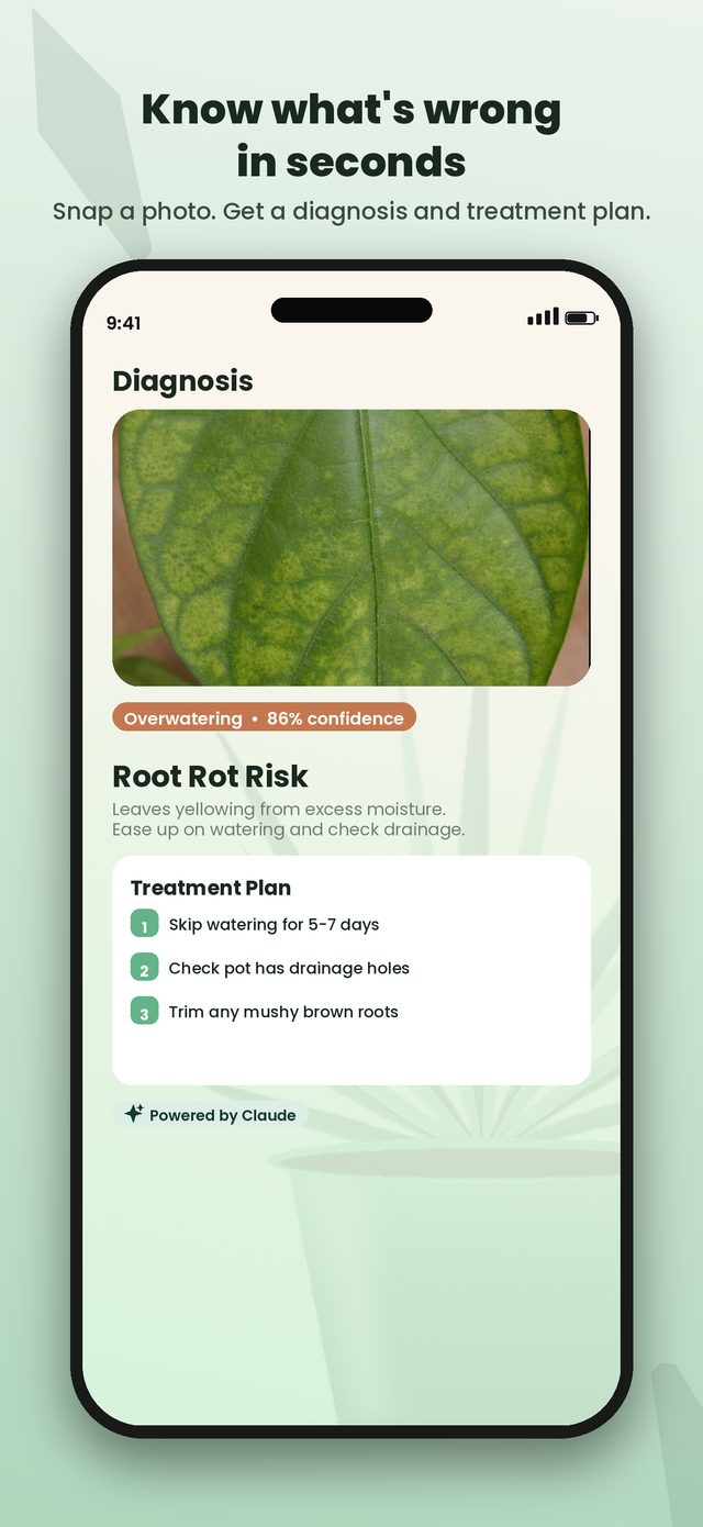 PlantMD diagnosis screen showing a treatment plan