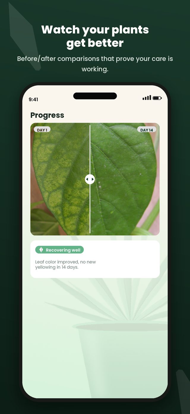 Before and after progress comparison