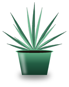 PlantMD logo